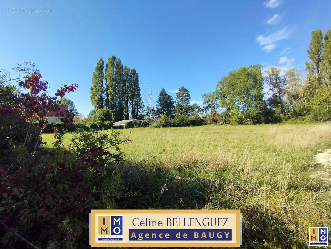 Terrain à BAUGY