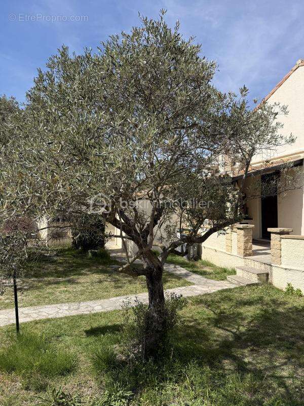 Propriété d'Exception - Quartier Résidentiel de PÉLISSANNE (DEPT13) - Villa Type 8 - 170 m2 - Terrain Arboré,Sécurisé - 1500M2 - - photo 7