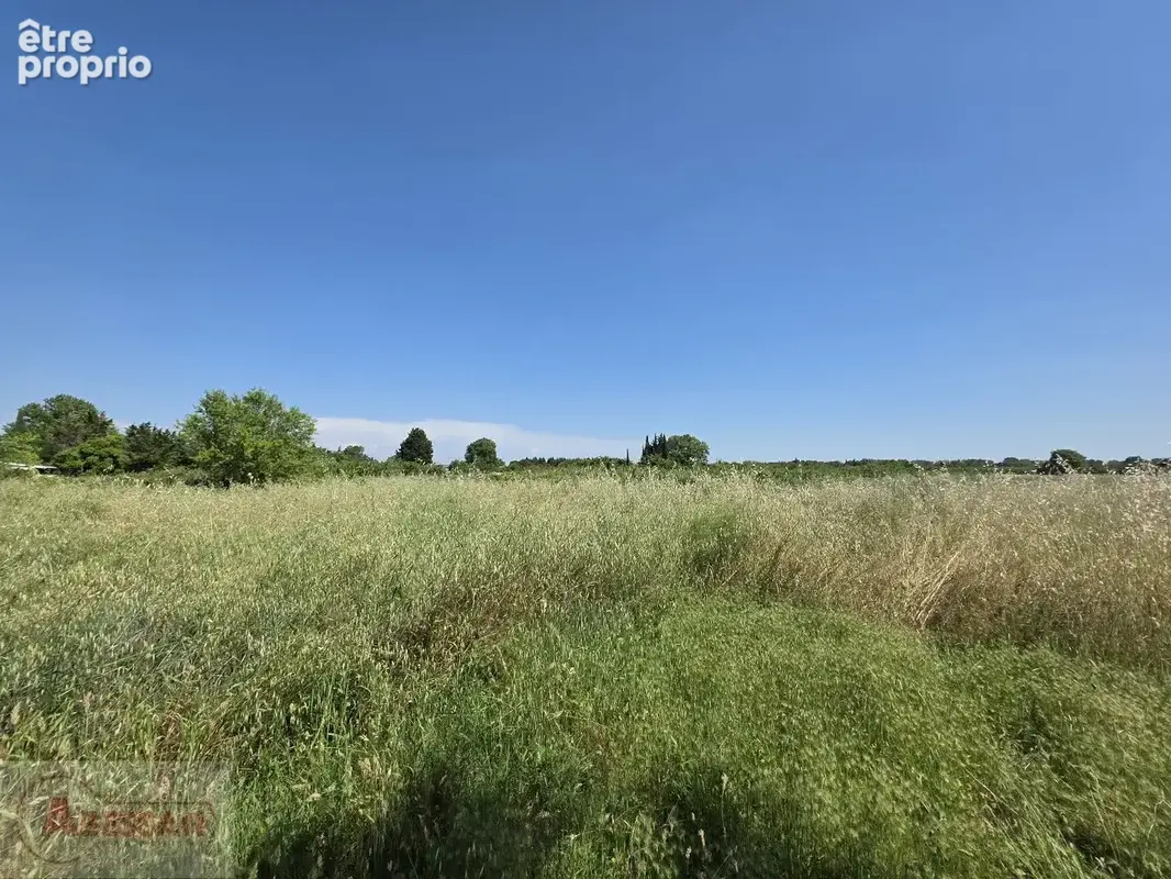 NÎMES EST  Grand foncier patrimonial de 9 775 m² (Secteur Mas Lombard) - photo 6