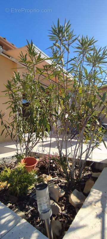 Maison à SAINT-MARTIN-DE-VALGALGUES