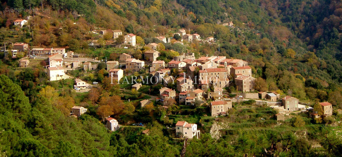 Maison à ROSAZIA
