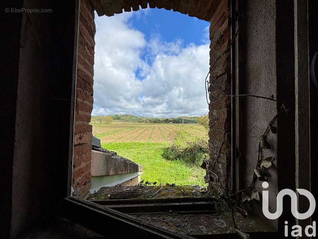 Photo 7 - Maison à LISLE-SUR-TARN