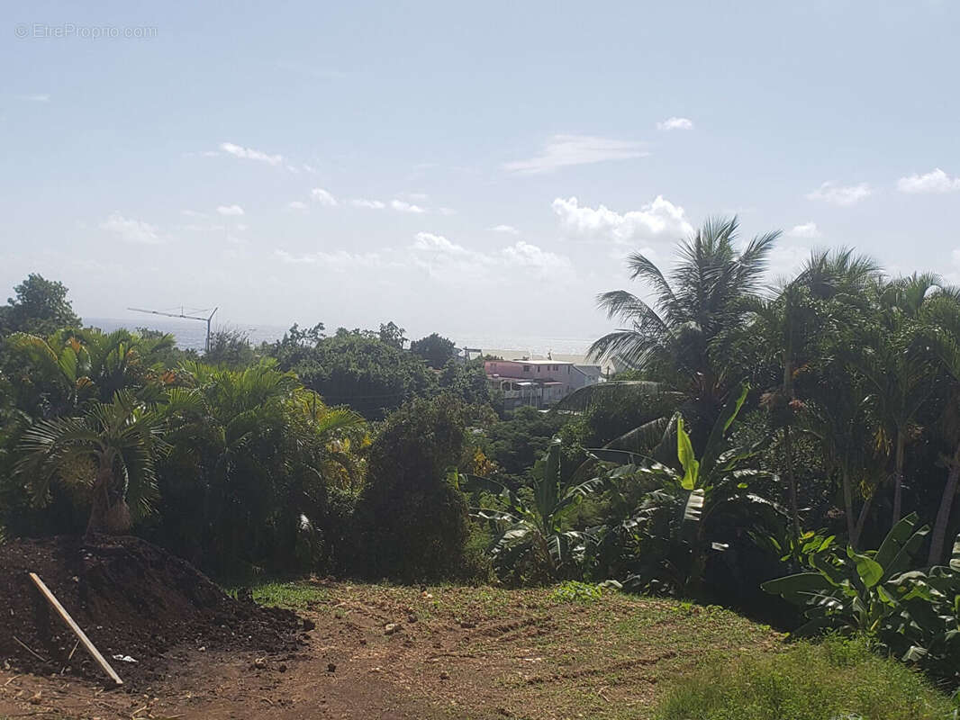 Terrain à LE GOSIER