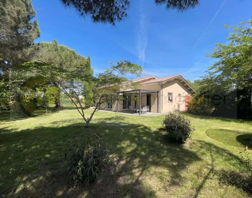 Maison à SEGOUFIELLE