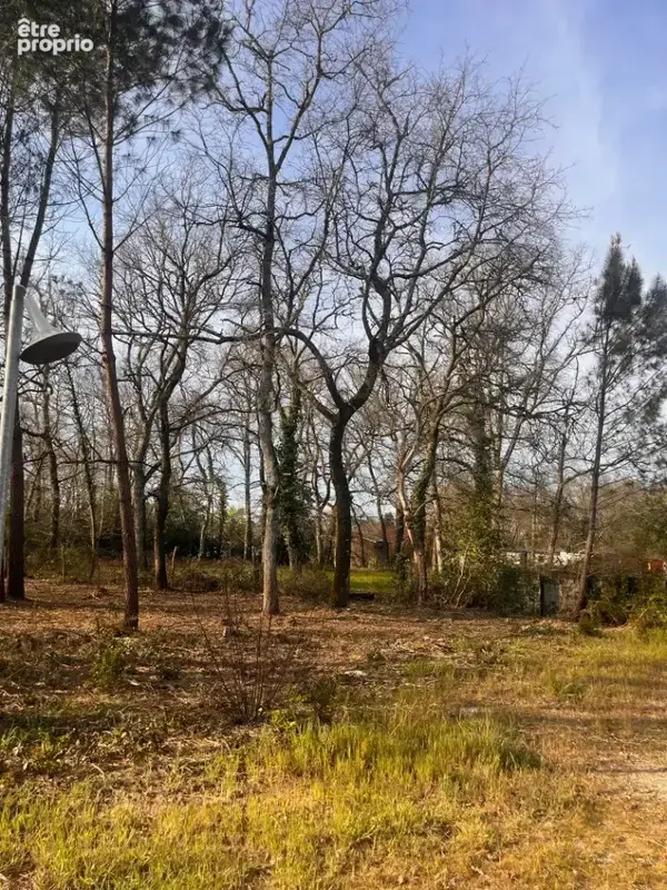 Terrain 1000 m² à Landiras  - photo 2