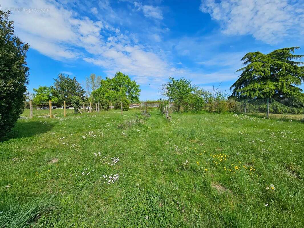 Photo 7 - Maison à VENDAT