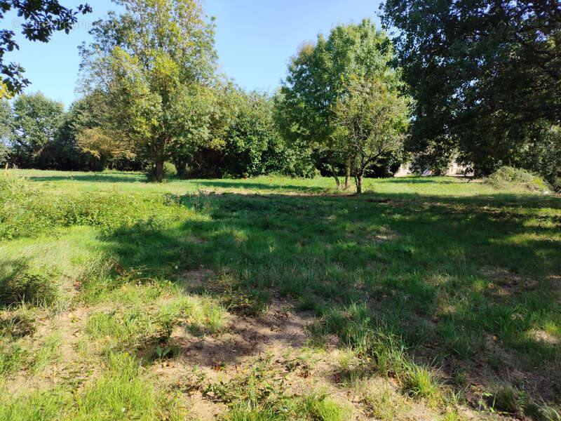 Terrain à TESSON