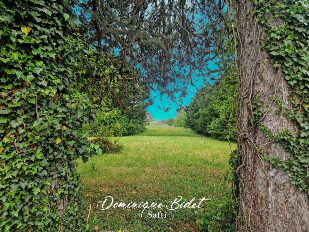 Photo 3 - Maison à ETROUSSAT