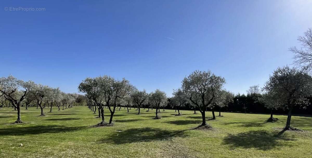 Maison à L&#039;ISLE-SUR-LA-SORGUE