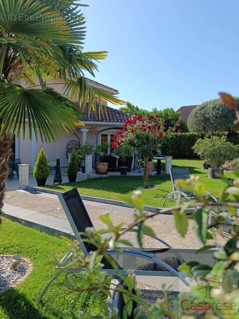 Maison à NIVOLAS-VERMELLE