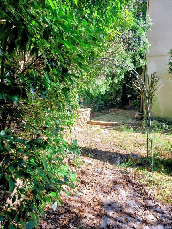 allée dans le jardin - Maison à MONTPELLIER