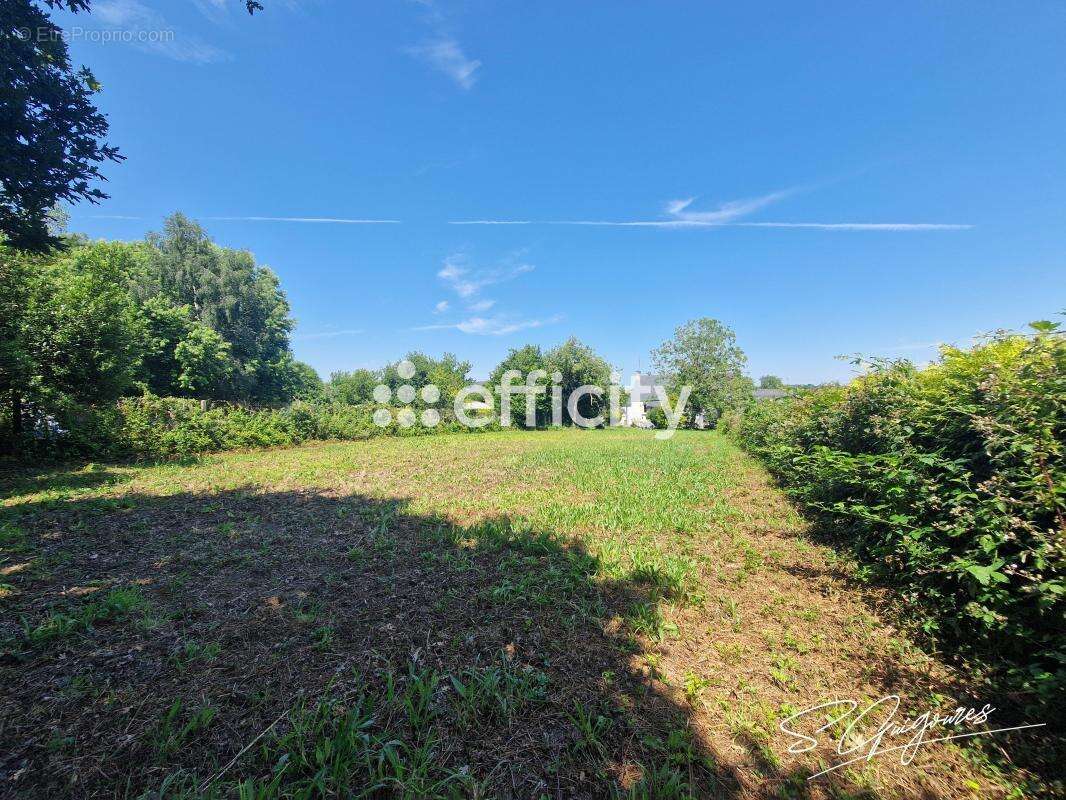 Terrain 970 m² à Gourin  - photo 4