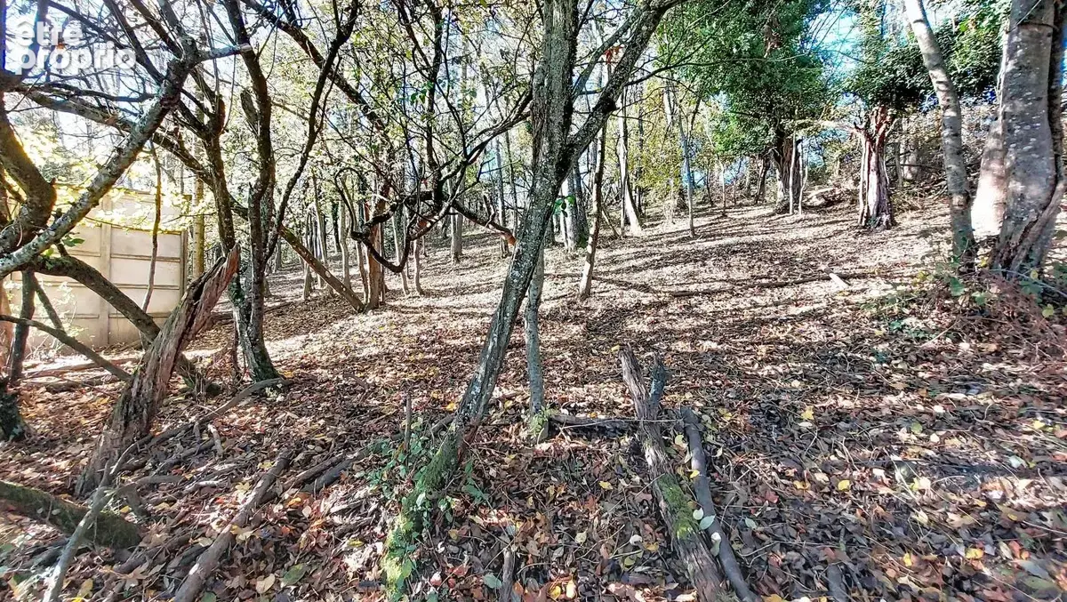 Terrain - Agricole - non constructible - photo 5