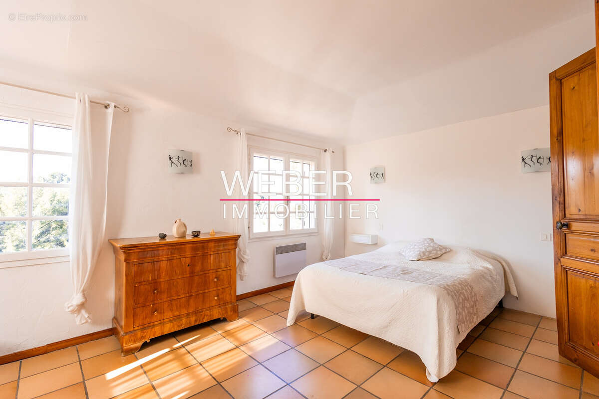 - ollioules - gros cerveau - maison 140 m2 + 2 appartements independants + 2800 m2 terrain - photo 6
