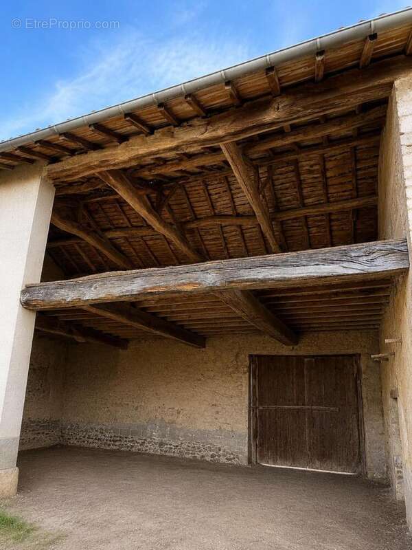Photo 3 - Maison à CHALEINS