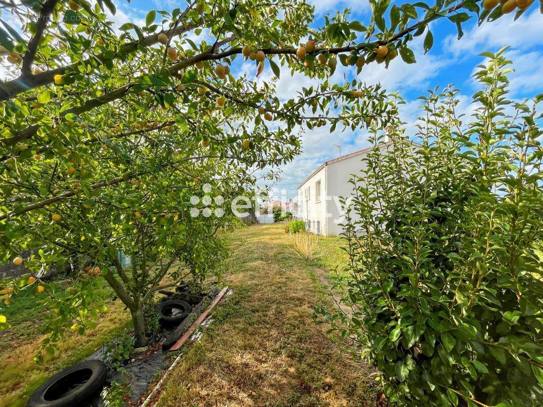 Maison à L&#039;ILE-D&#039;OLONNE