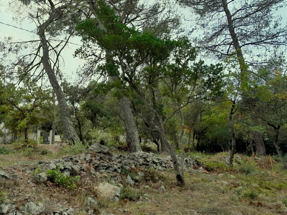 Terrain à SAINT-MAXIMIN-LA-SAINTE-BAUME