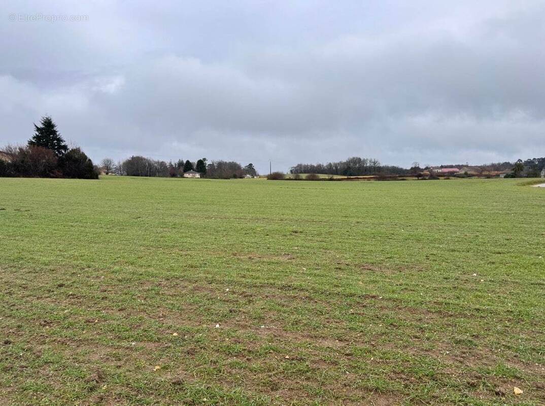 Terrain à SAINT-SAUD-LACOUSSIERE