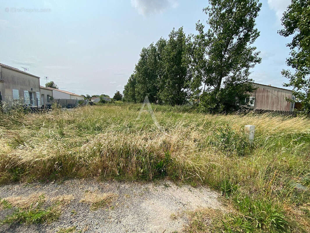 Terrain à SAINT-MICHEL-EN-L&#039;HERM