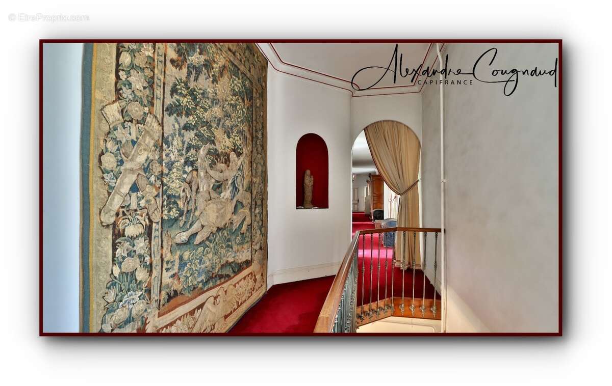A vendre Roquecourbe (81) — Maison de maître XIXe, 500 m², 10 chambres, parc piscinable 2 271 m² — Aux portes du Sidobre - photo 8