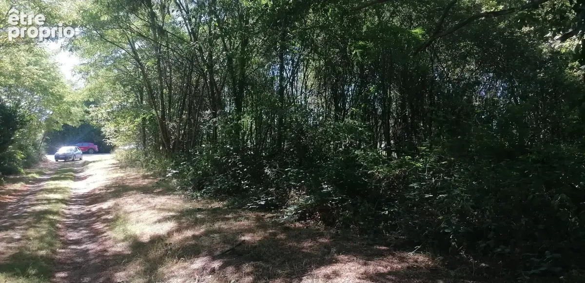 Terrain de 1810 m² à Piégut-Pluviers - photo 1