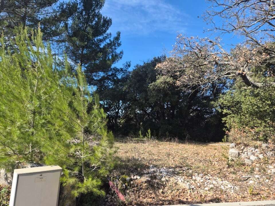 Terrain à LA BASTIDE-DES-JOURDANS