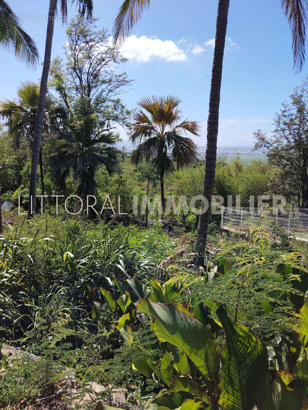 Terrain à L'ETANG-SALE