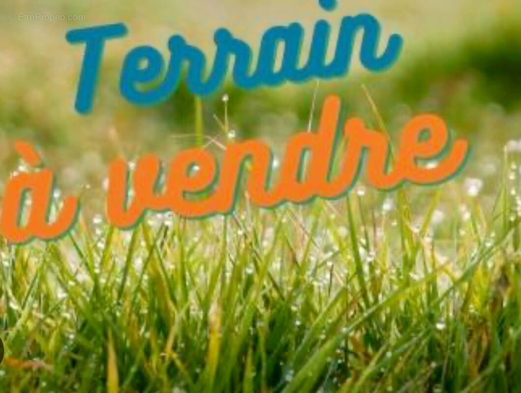 Terrain à LE PALAIS-SUR-VIENNE