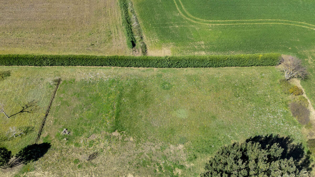 Terrain à AUREVILLE