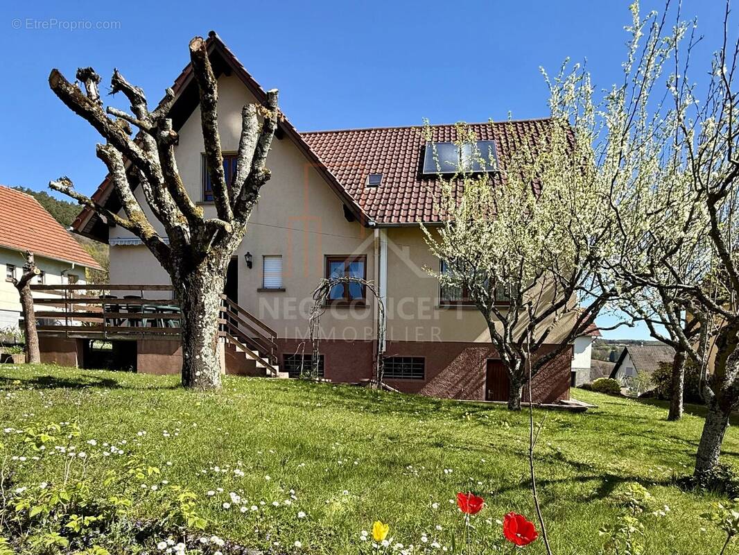 Maison à NIEDERBRONN-LES-BAINS