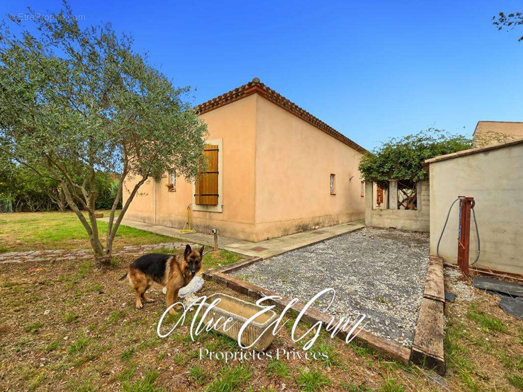 Maison Trebes 6 pièce(s) 182 m2 sur 1700 m² - photo 17