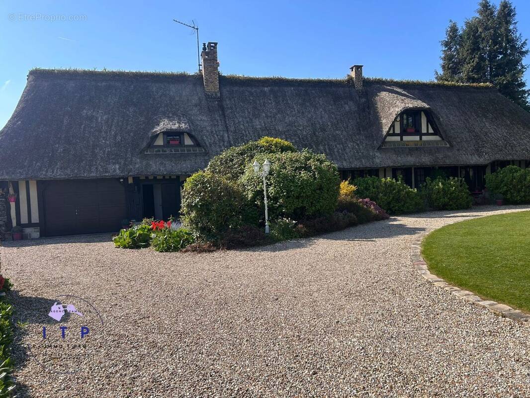 Jardin avant (entrée) - Maison à SAINT-OUEN-DU-TILLEUL