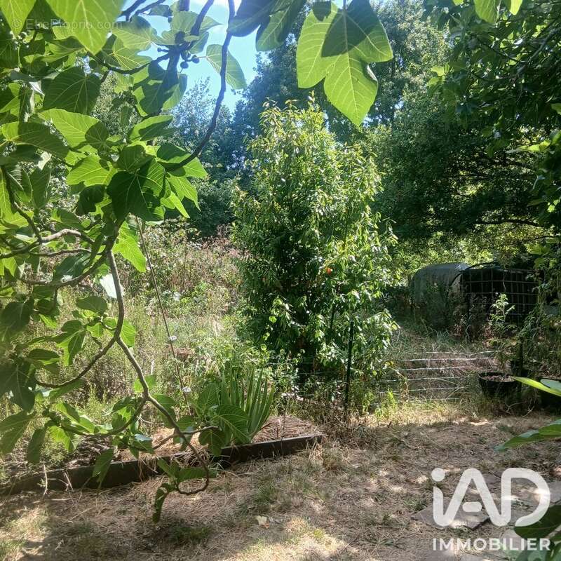 Maison 86 m² à Lisle-Sur-Tarn  - photo 5