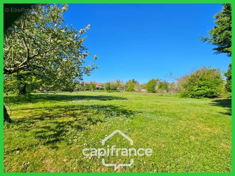 Terrain à BUXEROLLES