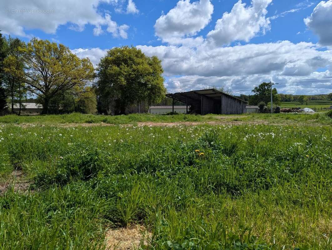 Maison à LA CHATRE-LANGLIN