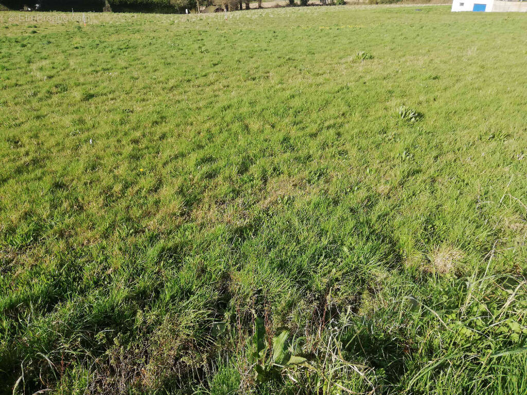 Terrain à KERGRIST
