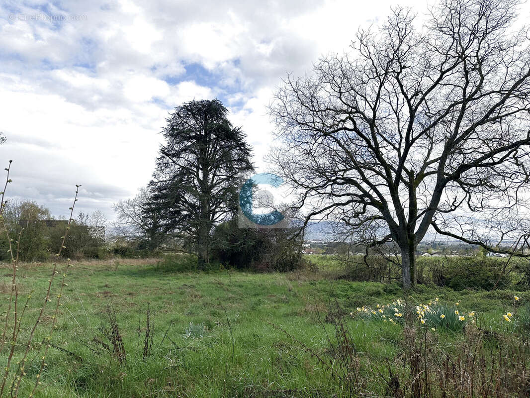 Terrain à PREVESSIN-MOENS