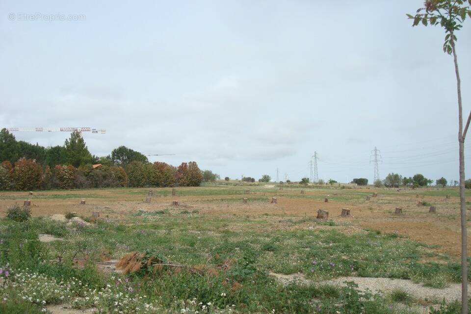 Terrain à PERPIGNAN
