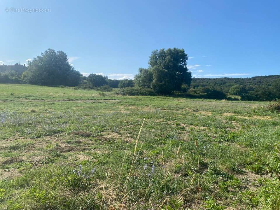 Terrain 734 m² à Malataverne  - photo 2
