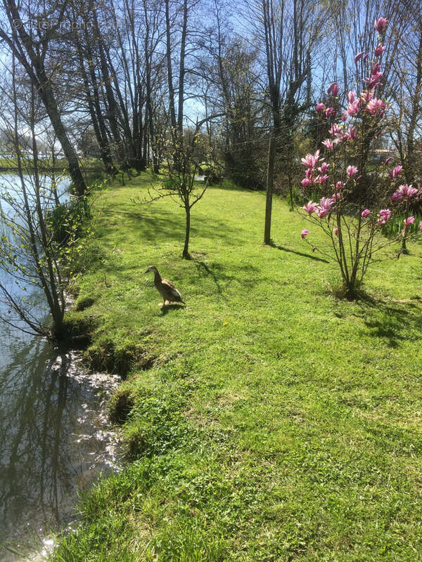 Maison à SAINT-FORT-SUR-GIRONDE