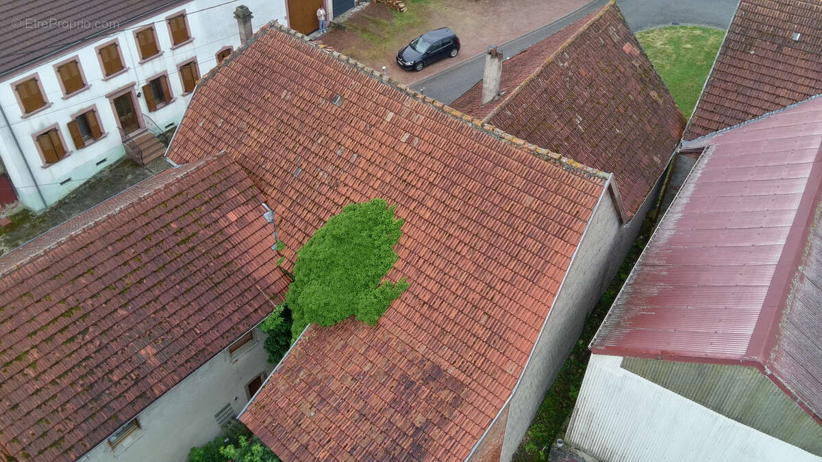 Maison à HONSKIRCH