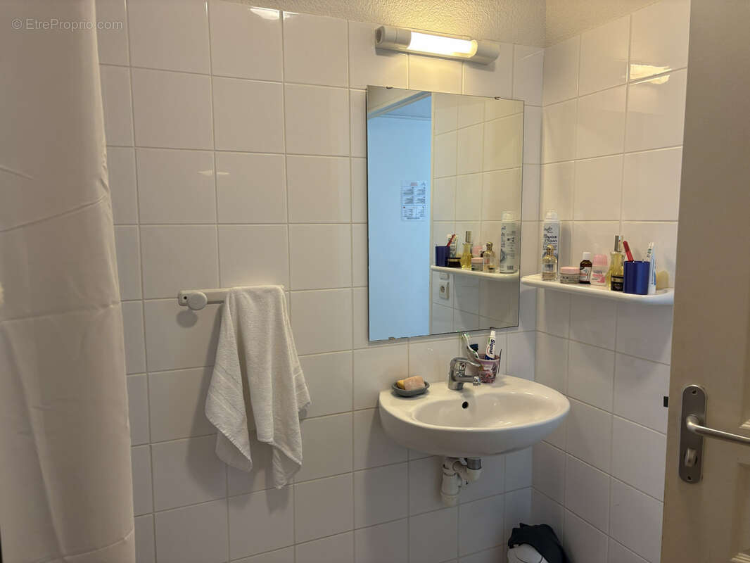 Morgat - Maison de plain-pied dans un environnement calme et verdoyant - photo 6