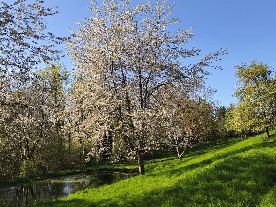 Maison à CHATELUS-MALVALEIX