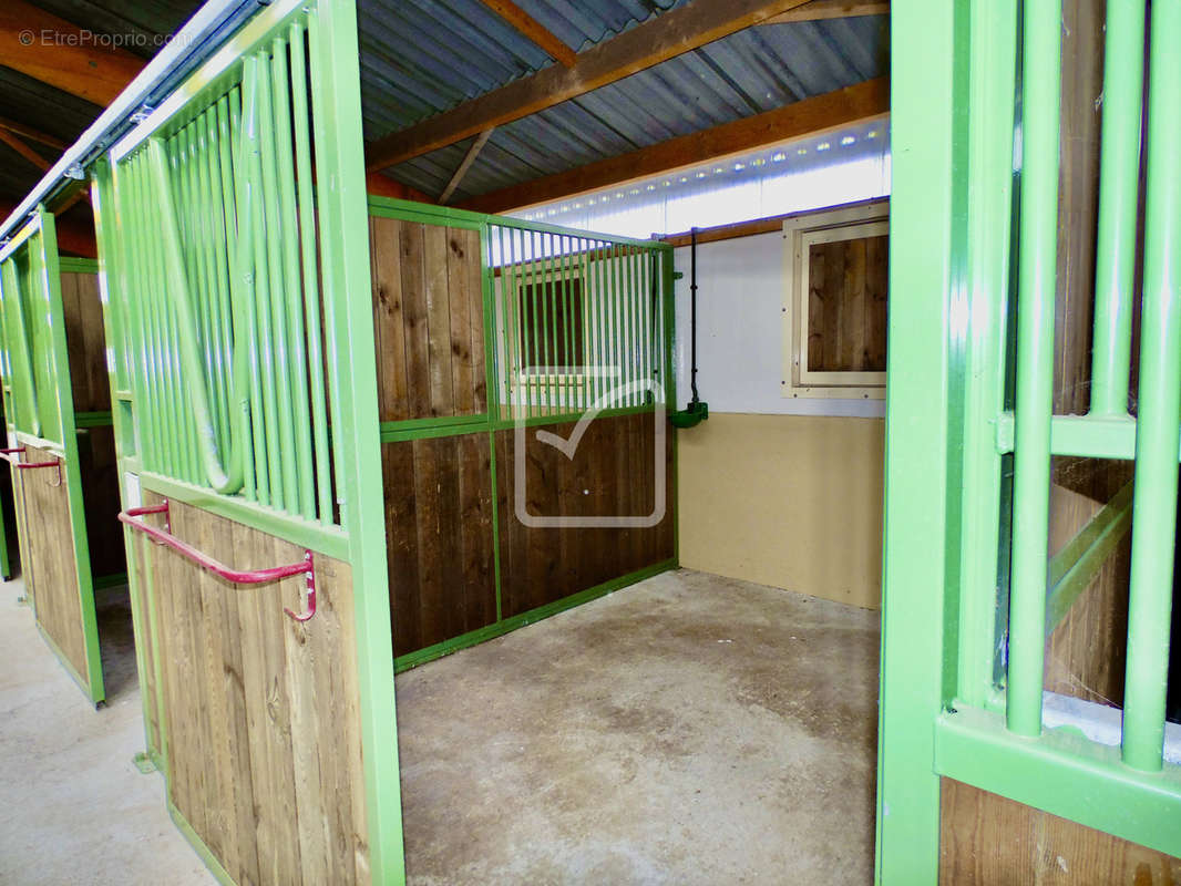 Maison à BRIVE-LA-GAILLARDE