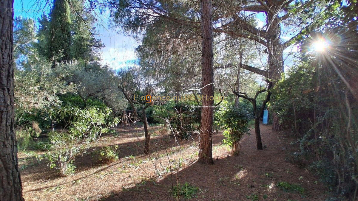 Maison à MONTPELLIER