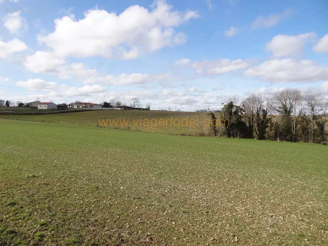 Maison à SAUX-ET-POMAREDE