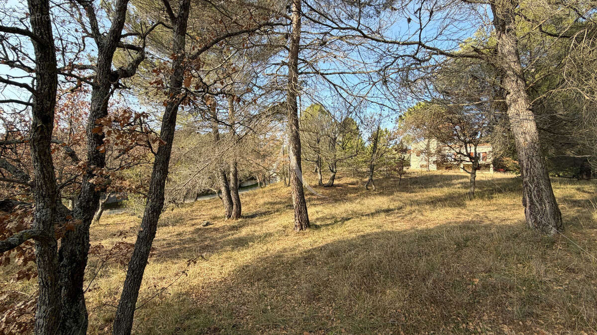 Terrain constructible de 1300m2 a pierrevert - photo 7