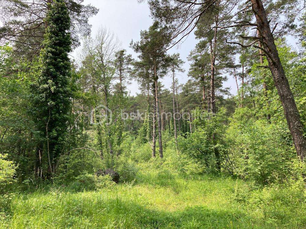 Terrain à COLLONGUES