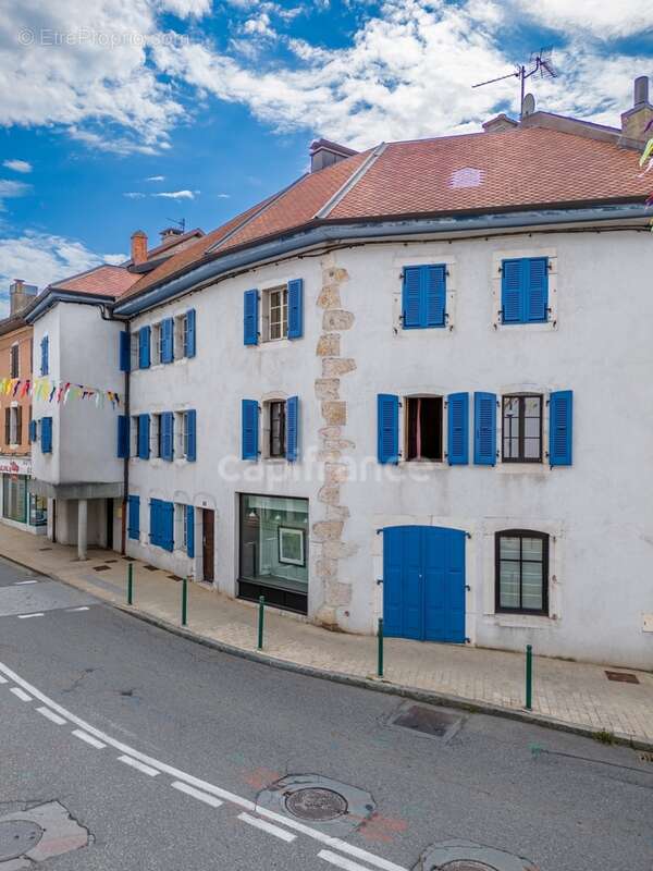 Maison à vendre 10 pièces GEX (01) - photo 32