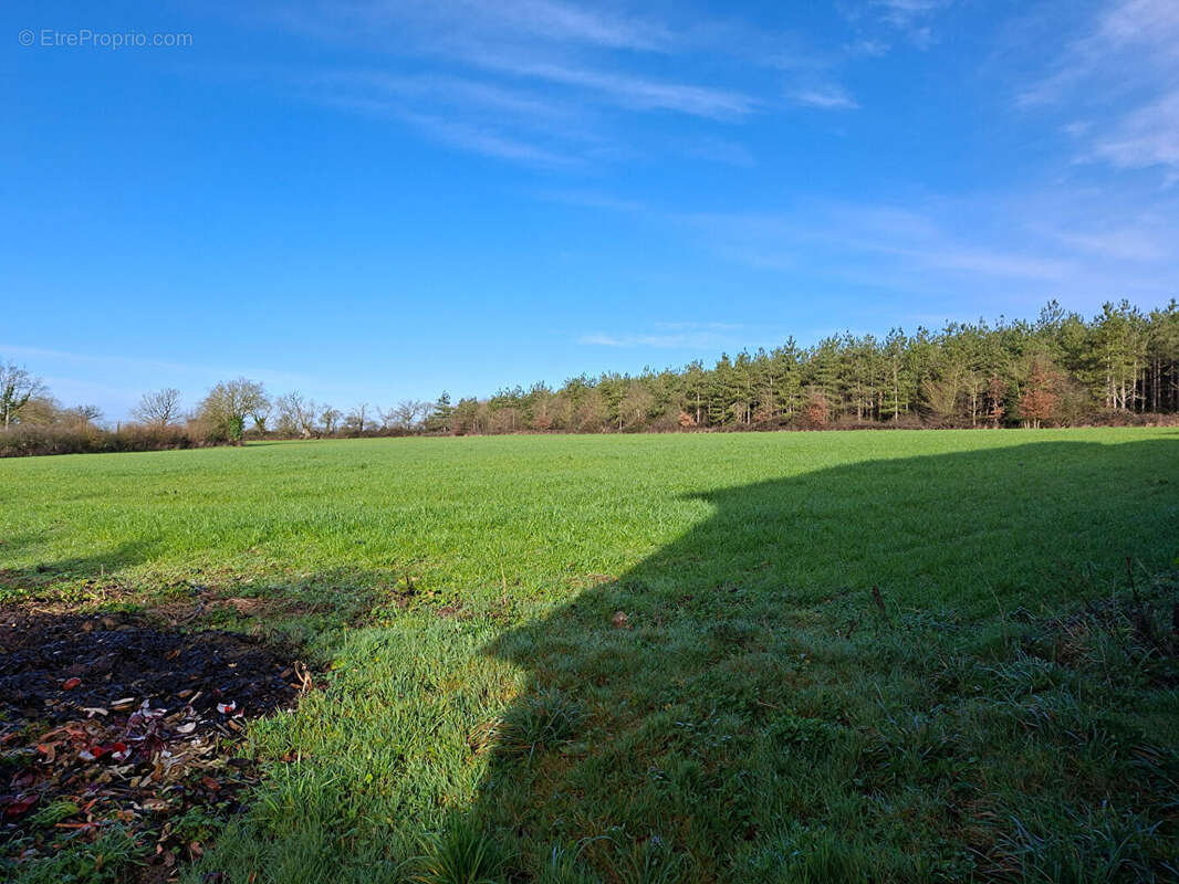 Maison à MARTIGNE-FERCHAUD